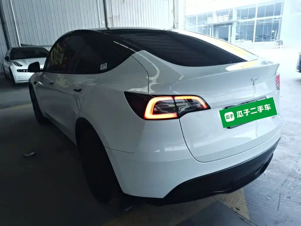 Tesla Model Y — миниатюра 5