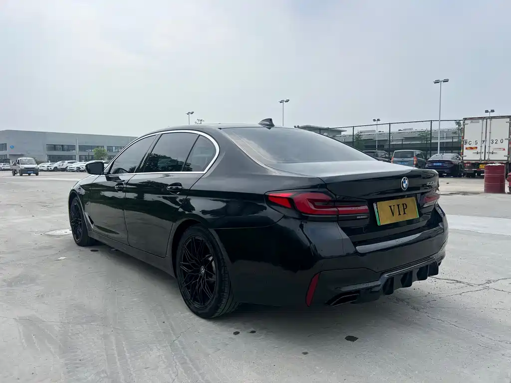 BMW 5 Series New Energy 530Le Luxury Package, фото 9