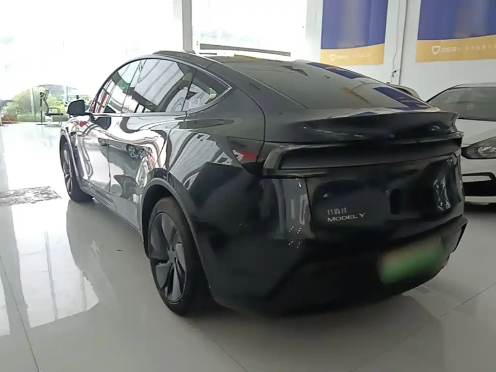 Tesla Model Y — миниатюра 5