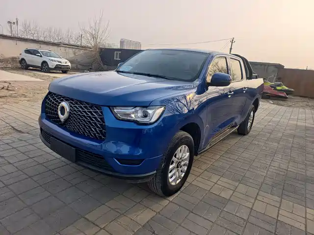 GREAT WALL CANNON 2020