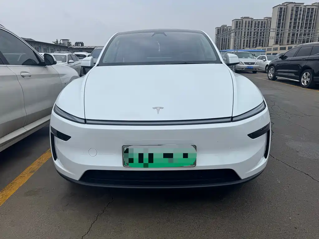 Tesla Model Y — миниатюра 2