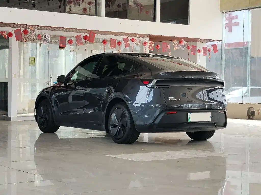 Tesla Model Y — миниатюра 6