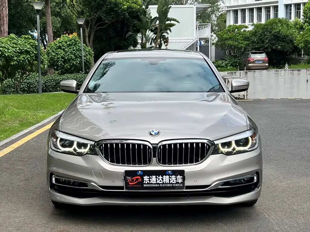 BMW 5 Series 5 2019 530Li Lead Luxury