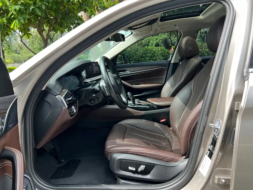 BMW 5 Series 5 2019 530Li Lead Luxury