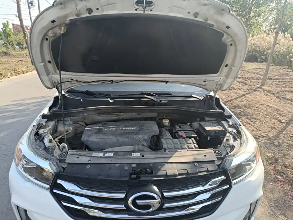 GAC Motor Trumpchi GS4 — миниатюра 20