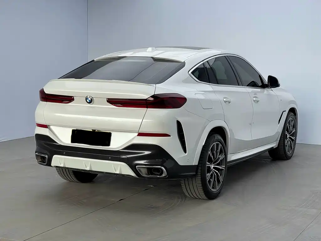 BMW X6 2023 xDrive30i M Sport