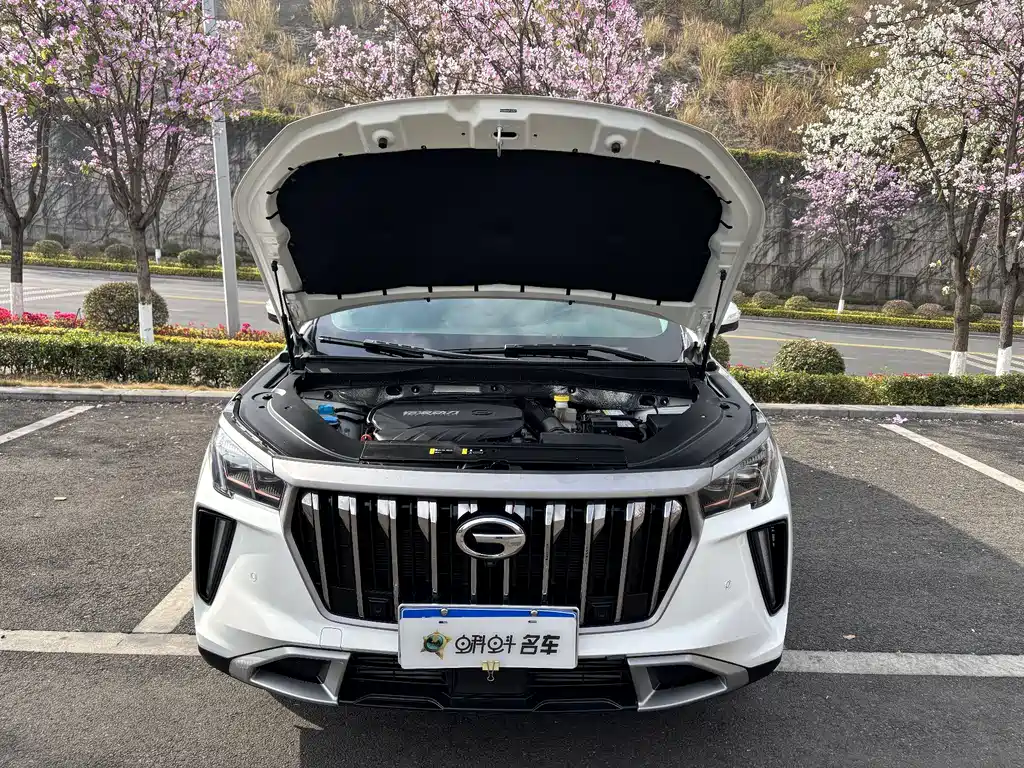 GAC TRUMPCHI GS4 PLUS