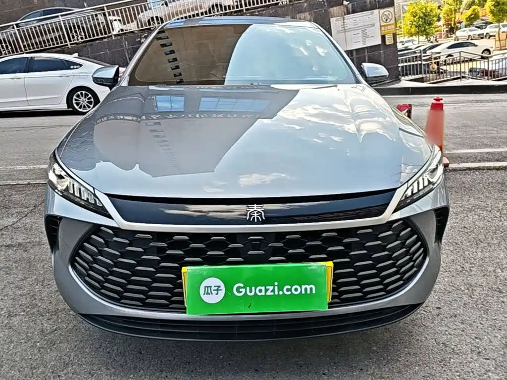 BYD Qin Plus PLUS 2025 DM-i Smart Drive 55KM Lead