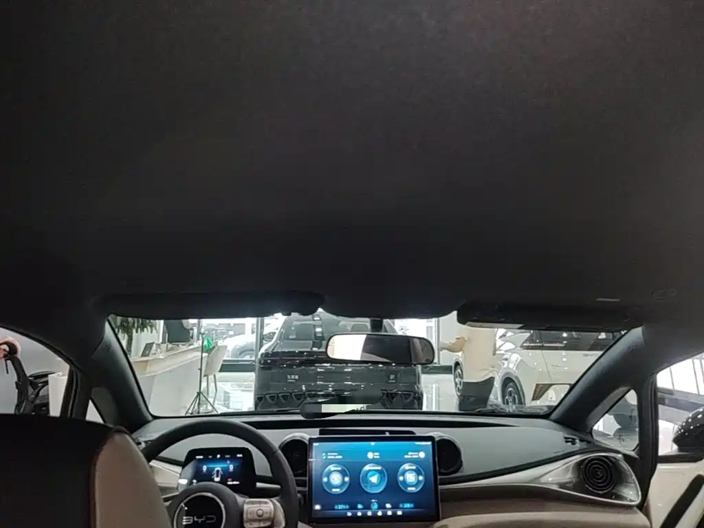 BYD Dolphin — миниатюра 18