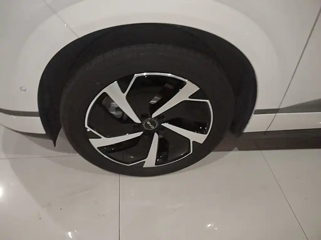 BYD Haisi 06 — миниатюра 23