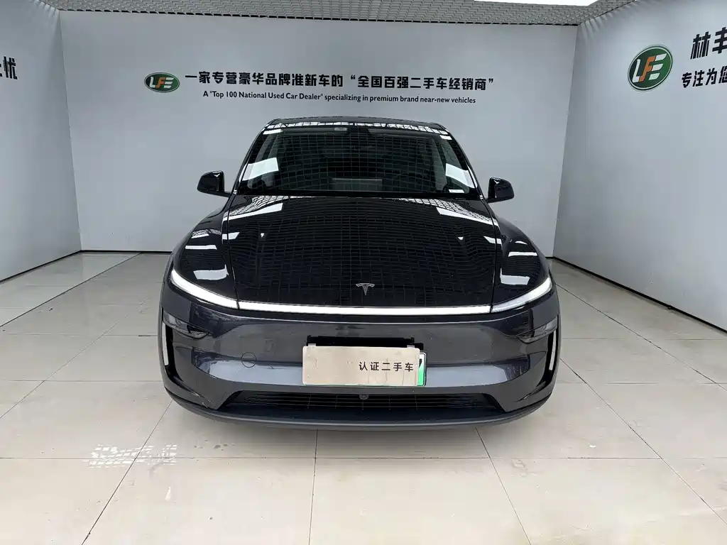 Tesla Model Y — миниатюра 2