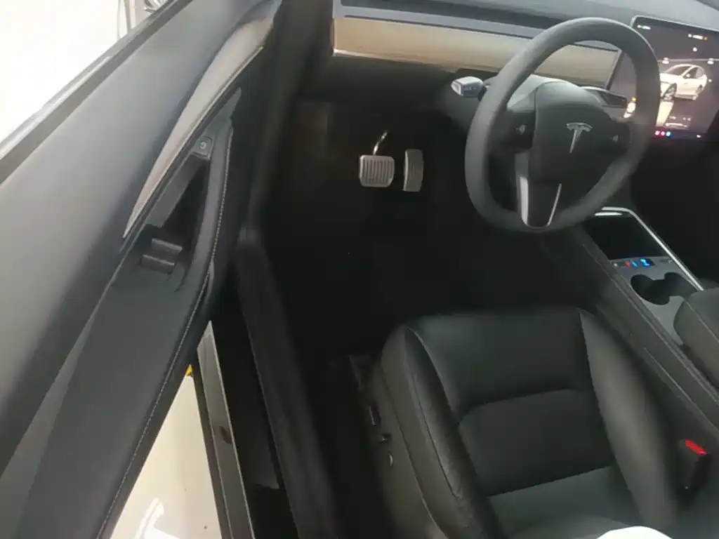 Tesla Model Y — миниатюра 16