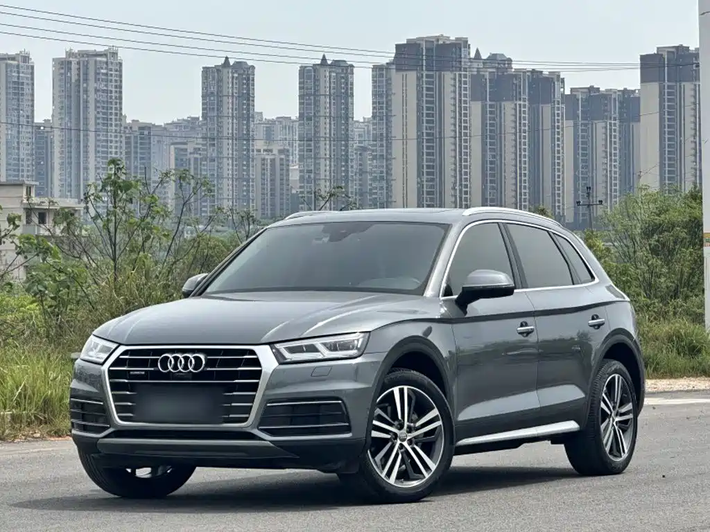 Audi Q5L 2020 45 TFSI Premium Wind Elegant Type