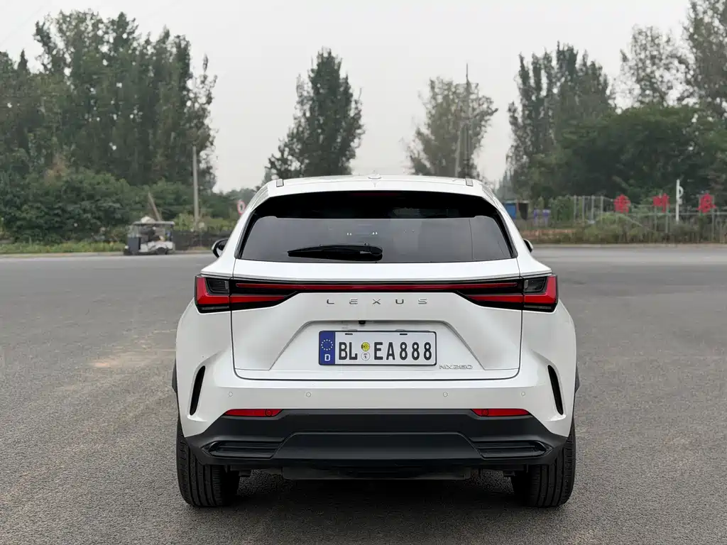 Lexus NX — миниатюра 10