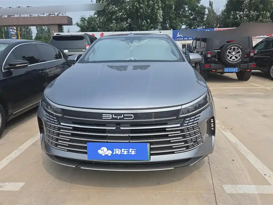 BYD Destroyer 05 2024 DM-i 55KM Luxury