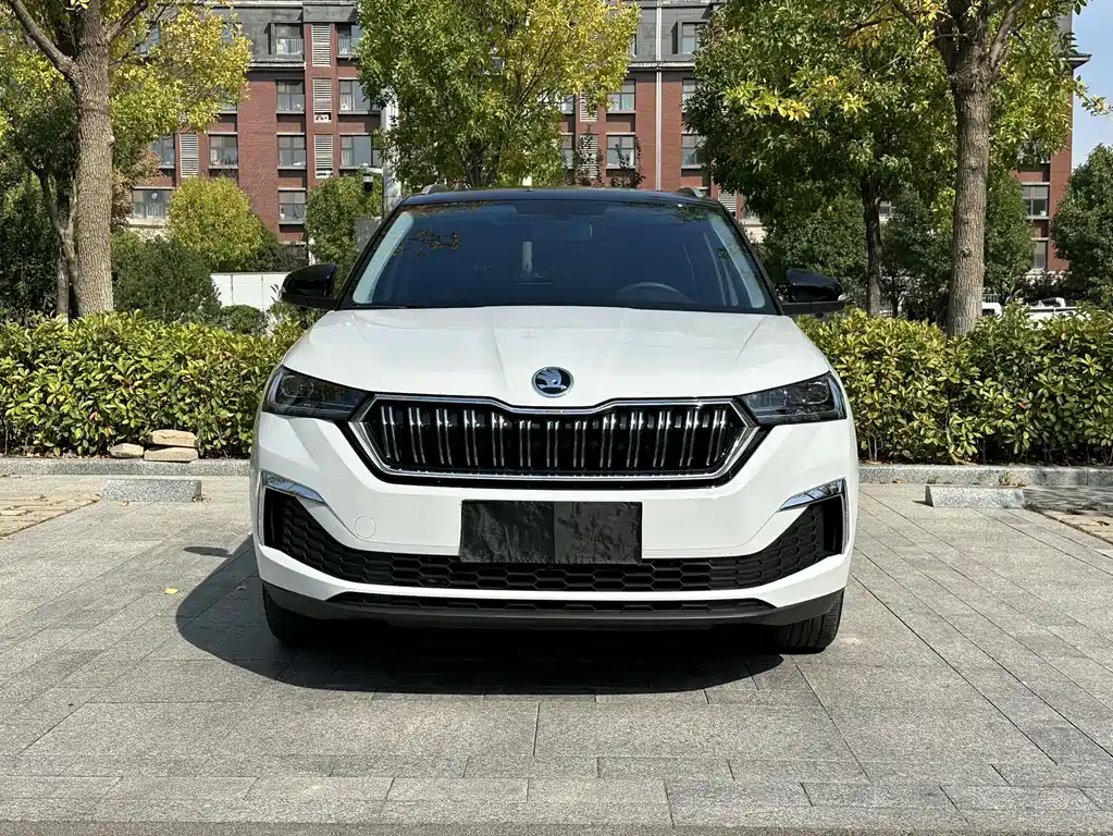 Skoda Kamiq — миниатюра 3