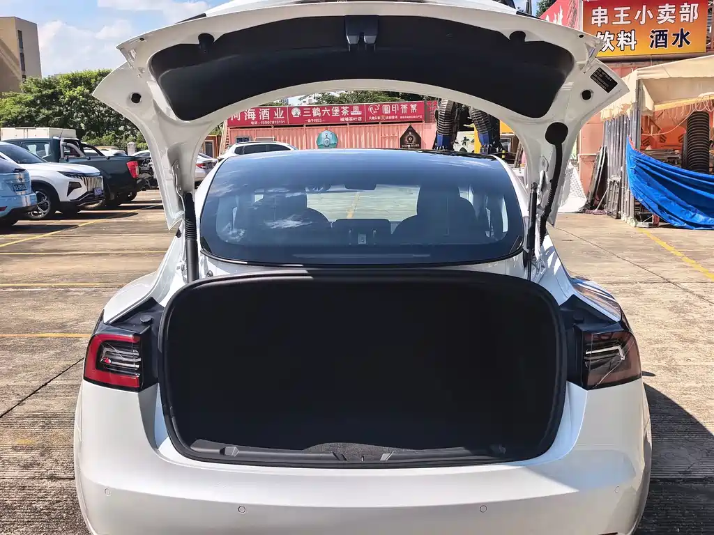 Tesla Model 3 — миниатюра 16