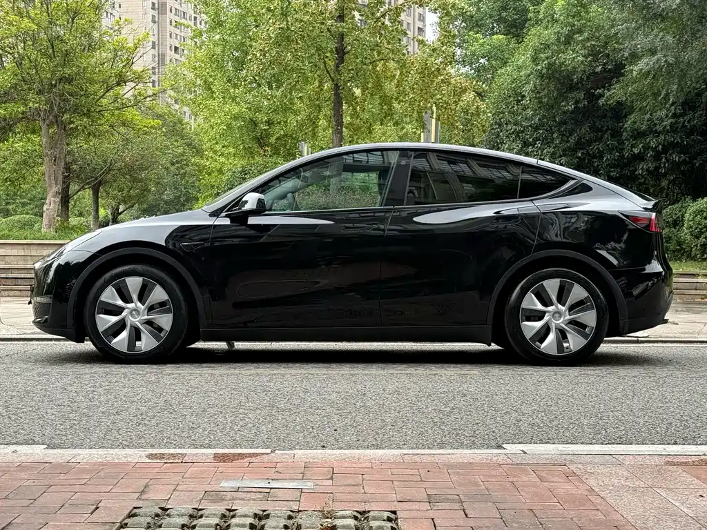 Tesla Model Y — миниатюра 4