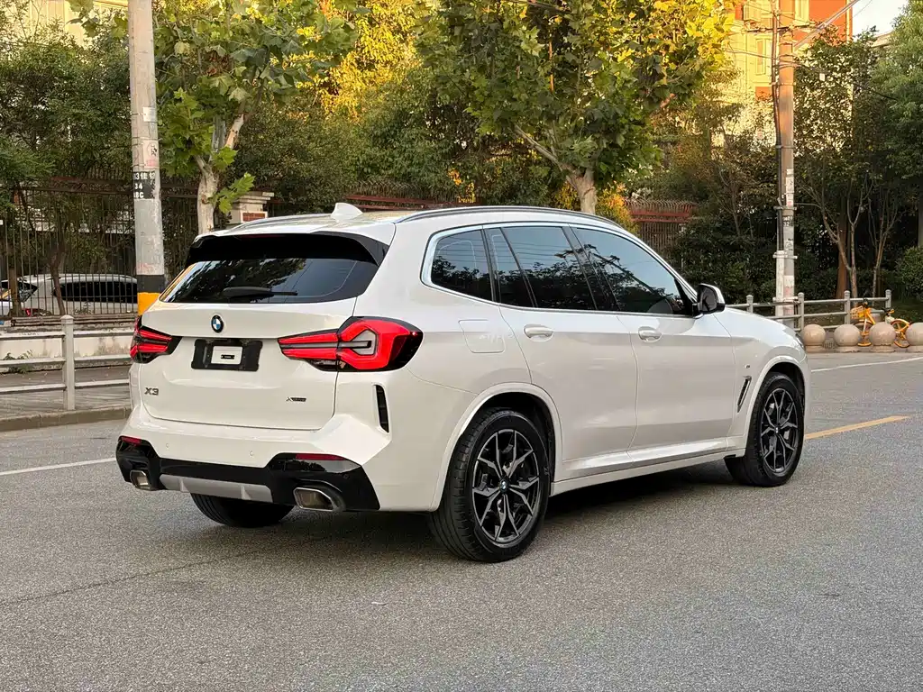 BMW X3 — миниатюра 8