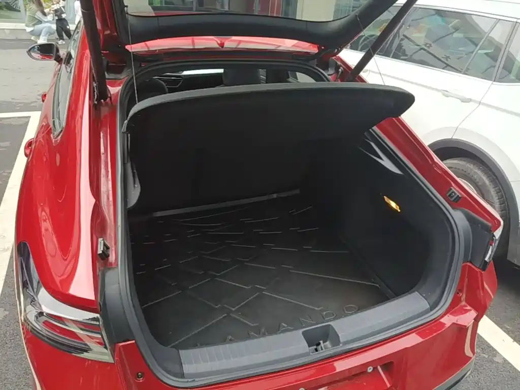 Volkswagen Lamando — миниатюра 19