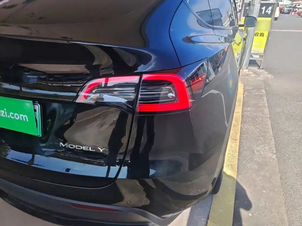 Tesla Model Y — миниатюра 8