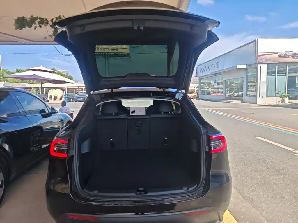 Tesla Model Y — миниатюра 19