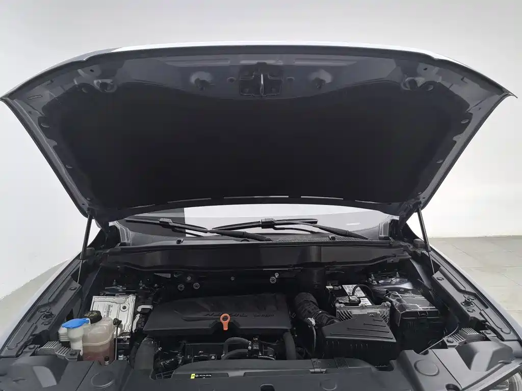 Haval Big Dog — миниатюра 6
