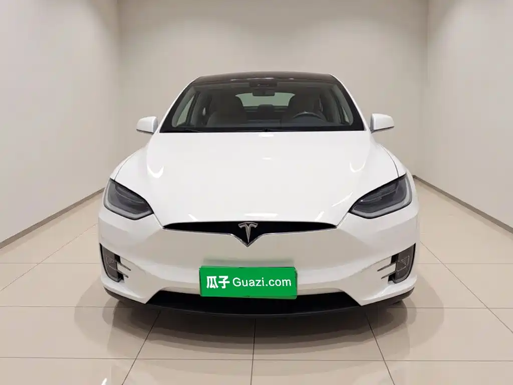 Tesla Model X — миниатюра 2