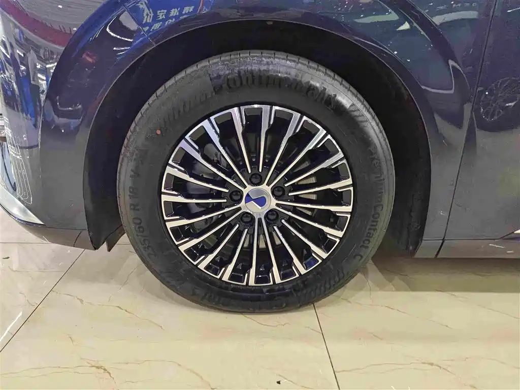 Denza Denza D9 — миниатюра 10