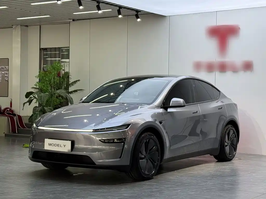 Tesla Model Y — миниатюра 2