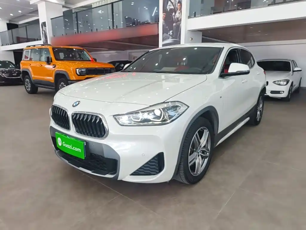 BMW X2 — миниатюра 2