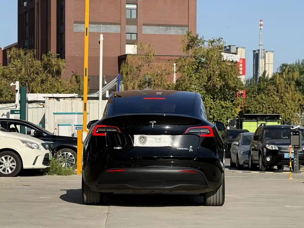 Tesla Model Y — миниатюра 5