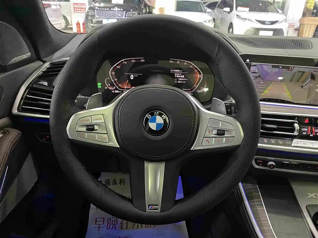 BMW X5 — миниатюра 12