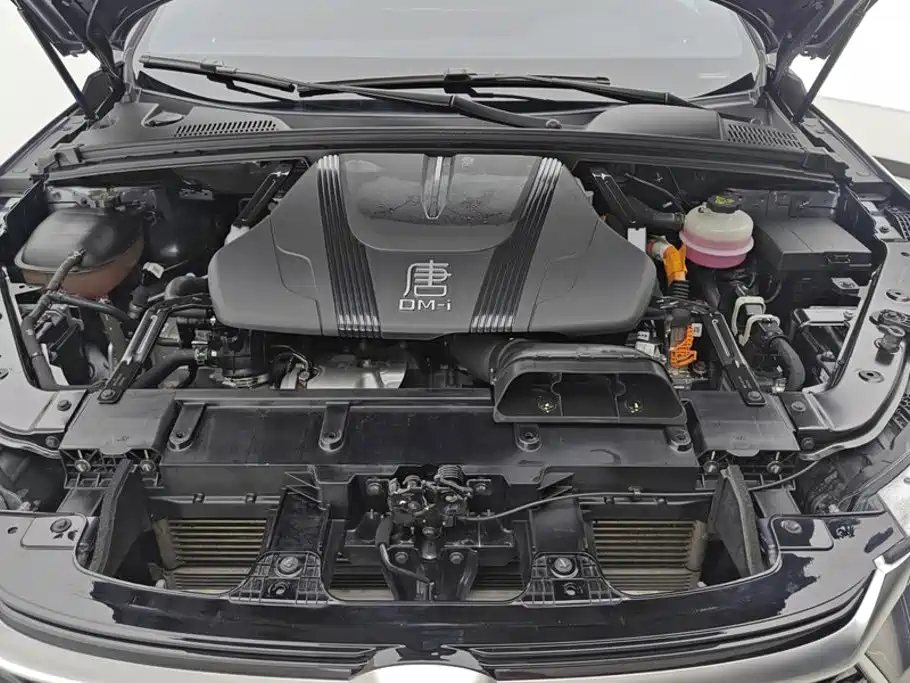 BYD Tang New Energy — миниатюра 10