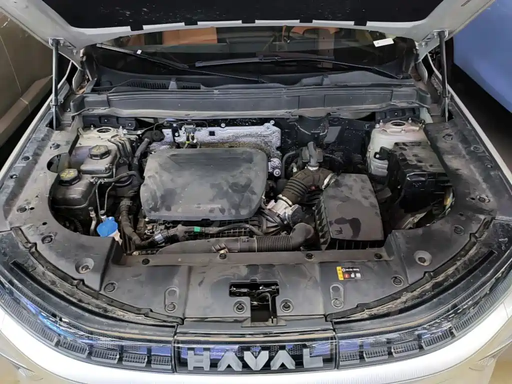 Haval Xiaolong MAX — миниатюра 20