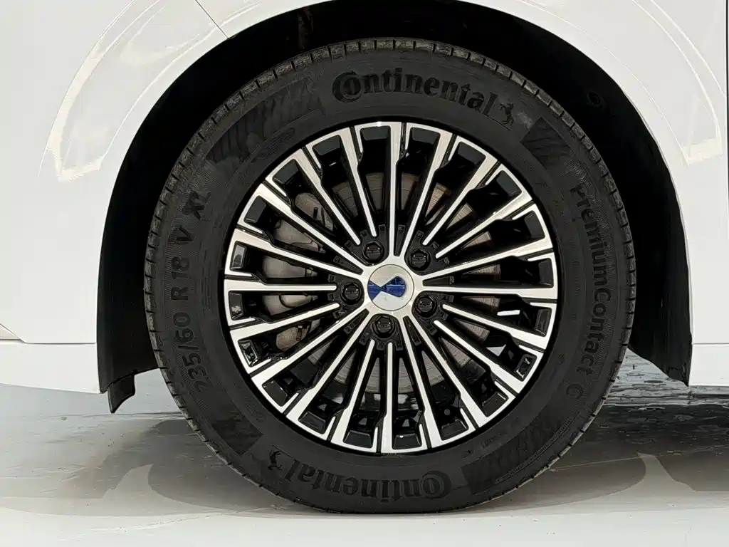 Denza Denza D9 — миниатюра 11