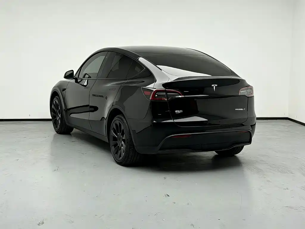 Tesla Model Y — миниатюра 4