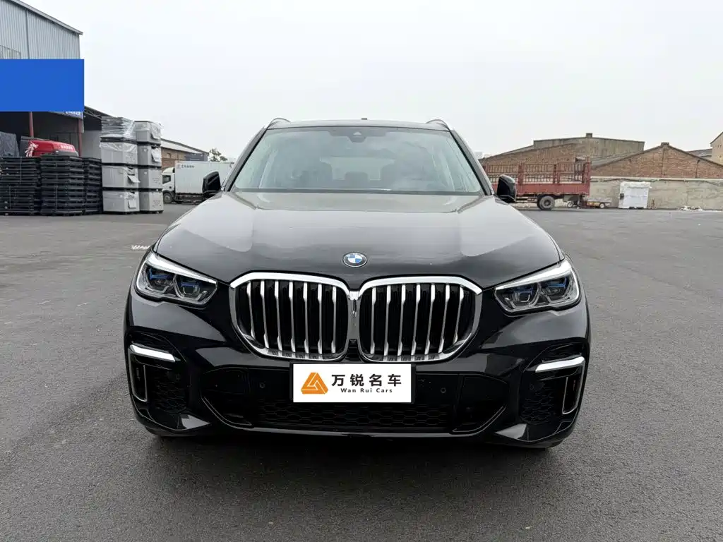 BMW X5 — миниатюра 2