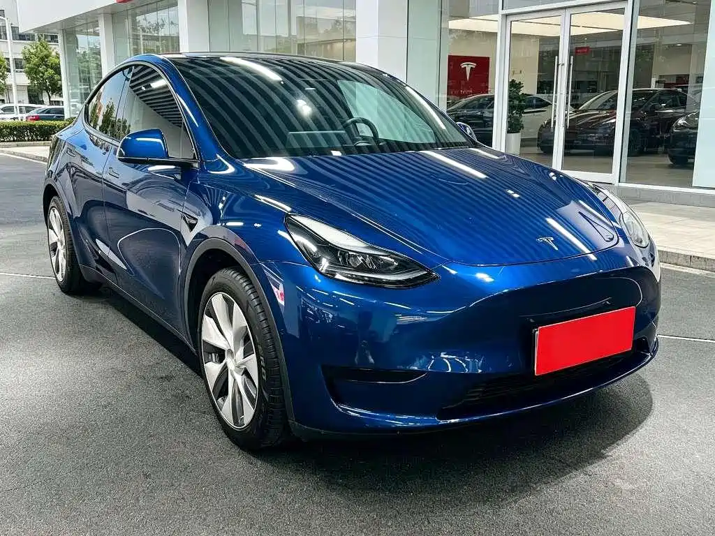 Tesla Model Y — миниатюра 3