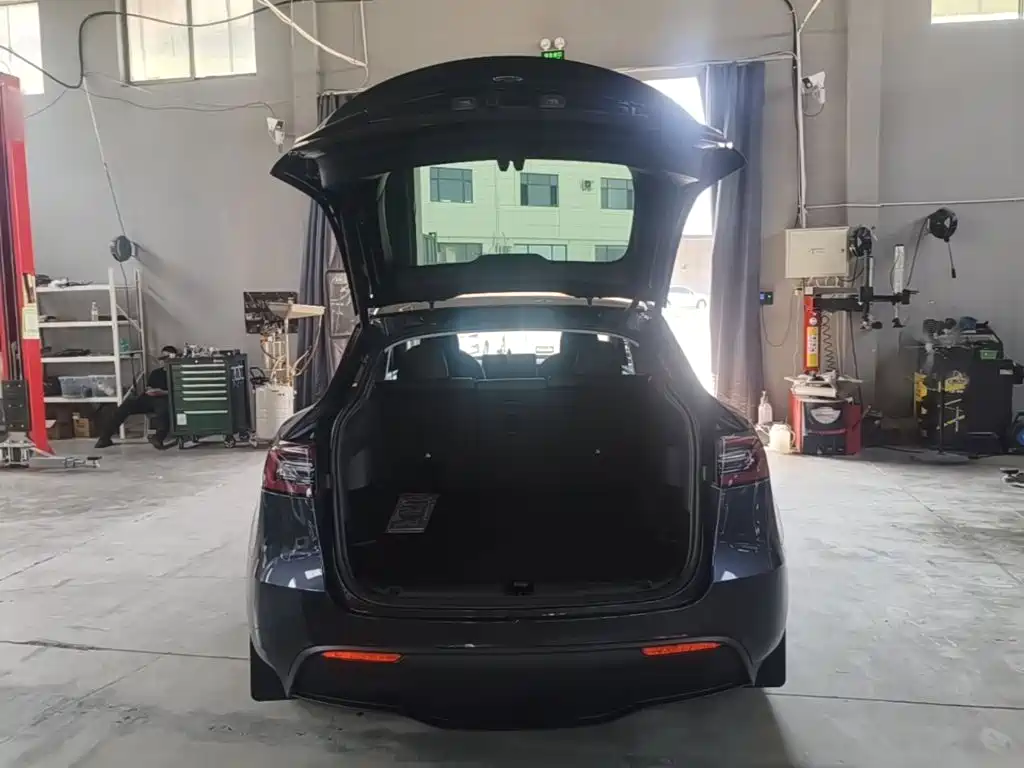 Tesla Model Y — миниатюра 19