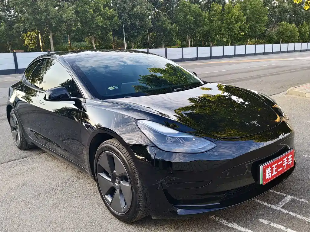 Tesla Model 3 — миниатюра 3