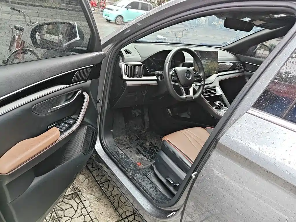 BYD PLUS — миниатюра 14