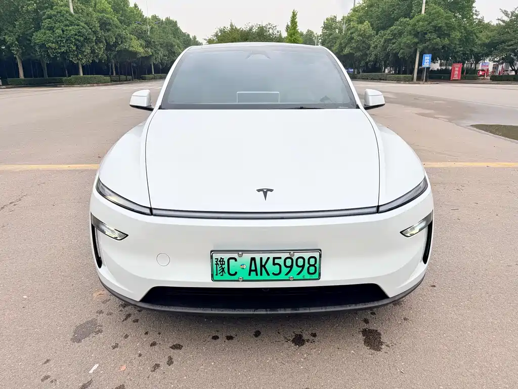 Tesla Model Y — миниатюра 2