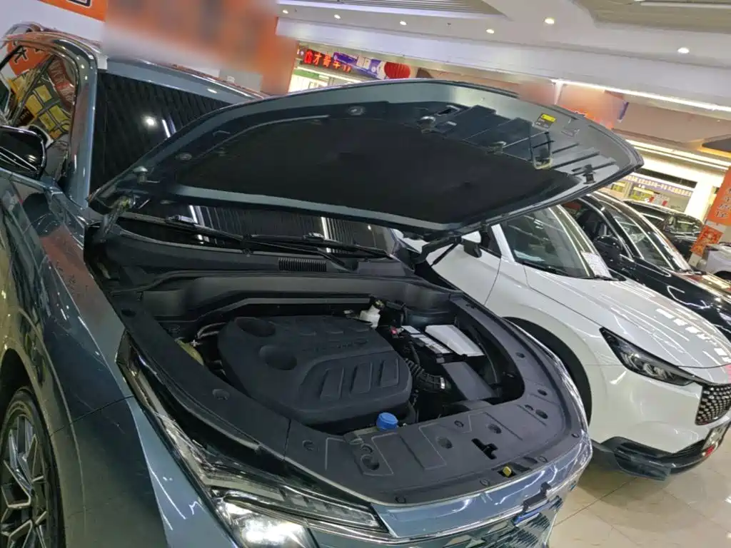 Oshan Oushang Z6 — миниатюра 20