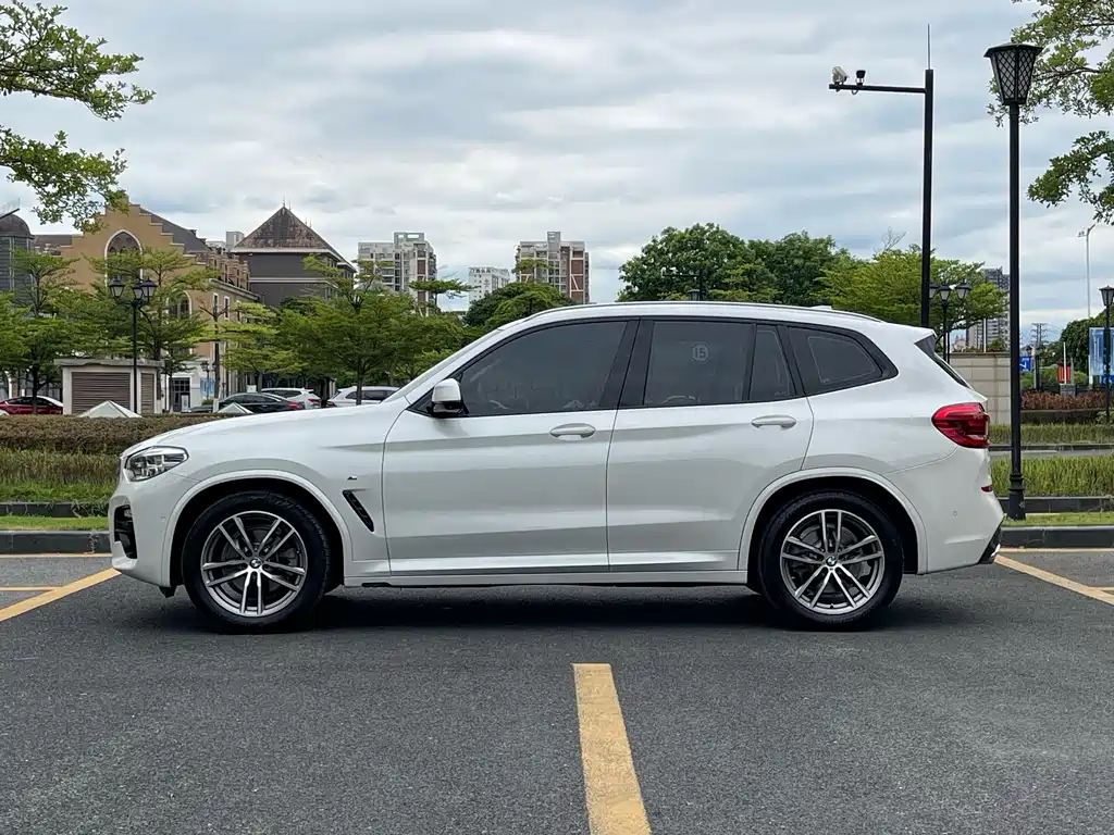 BMW X3 2018 xDrive30i Lead M Sport V