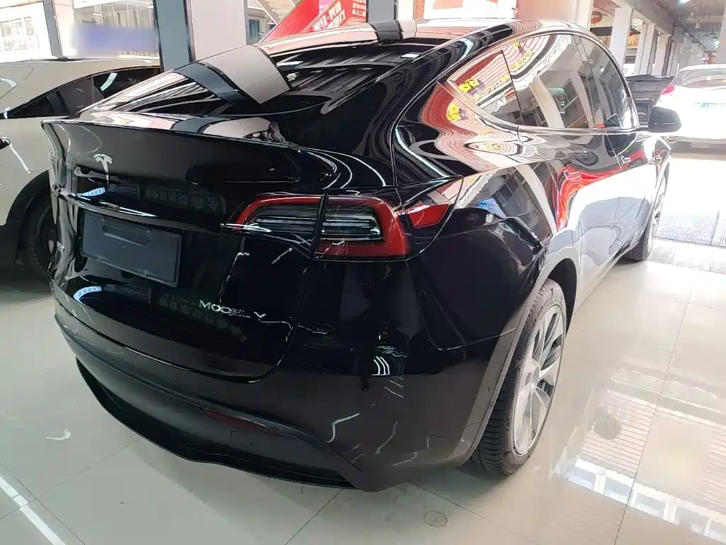 Tesla Model Y — миниатюра 7