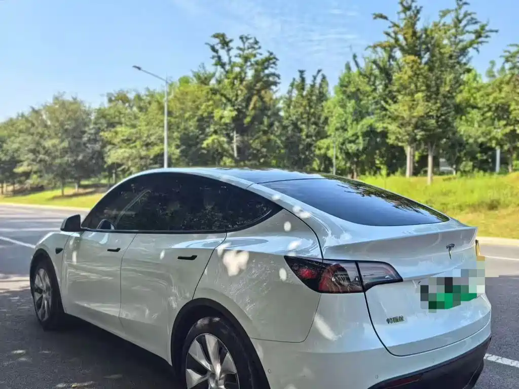 Tesla Model Y — миниатюра 6