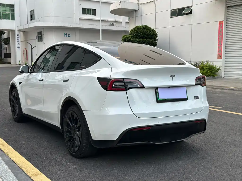 Tesla Model Y — миниатюра 4