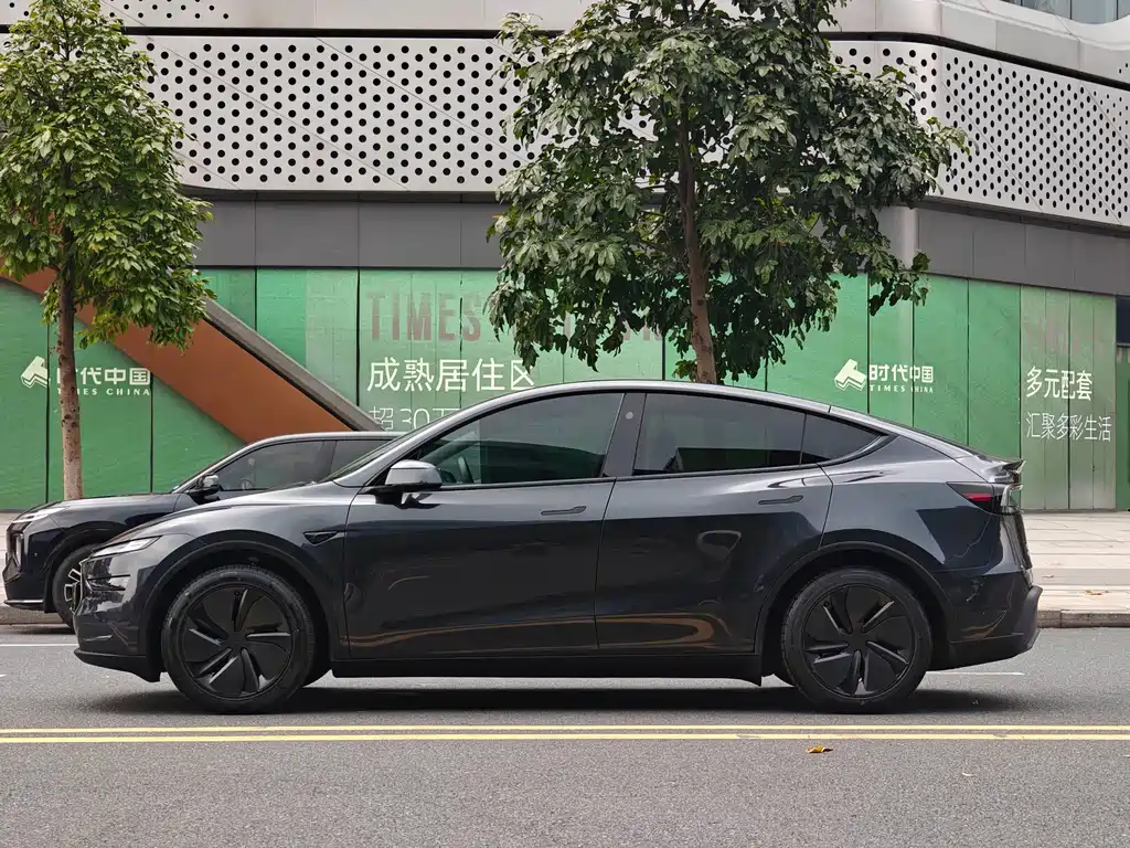 Tesla Model Y — миниатюра 4