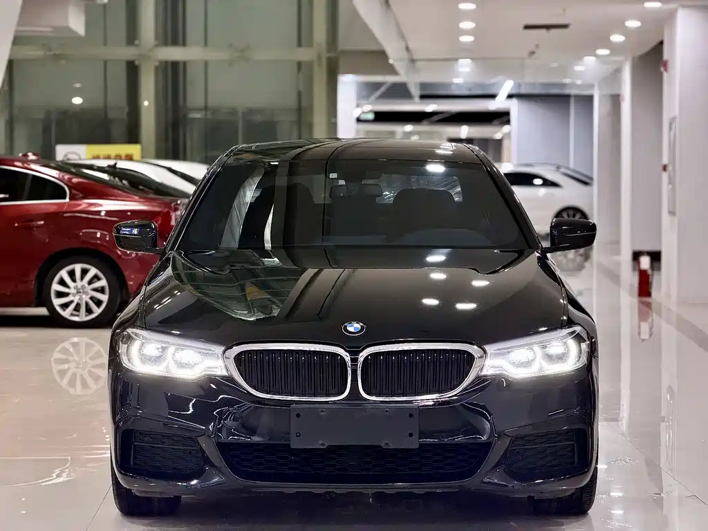 BMW 5 Series — миниатюра 2